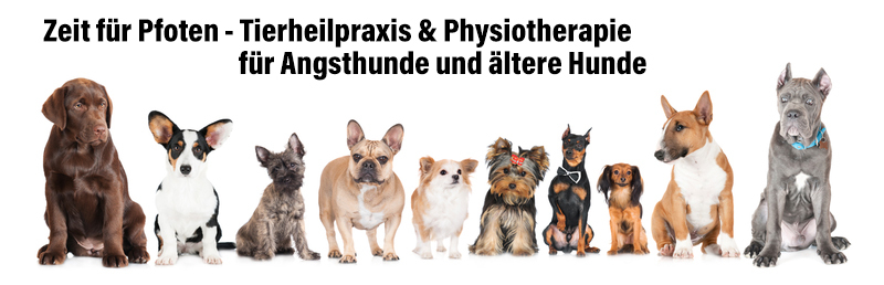 Zeit für Pfoten Tierheilpraxis und Physiotherapie  für Angsthunde & ältere Hunde